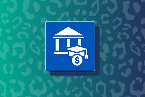 Finish Line Grant Icon